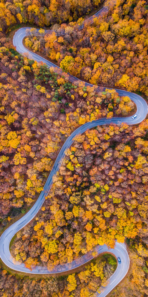 winding road in autumn forest